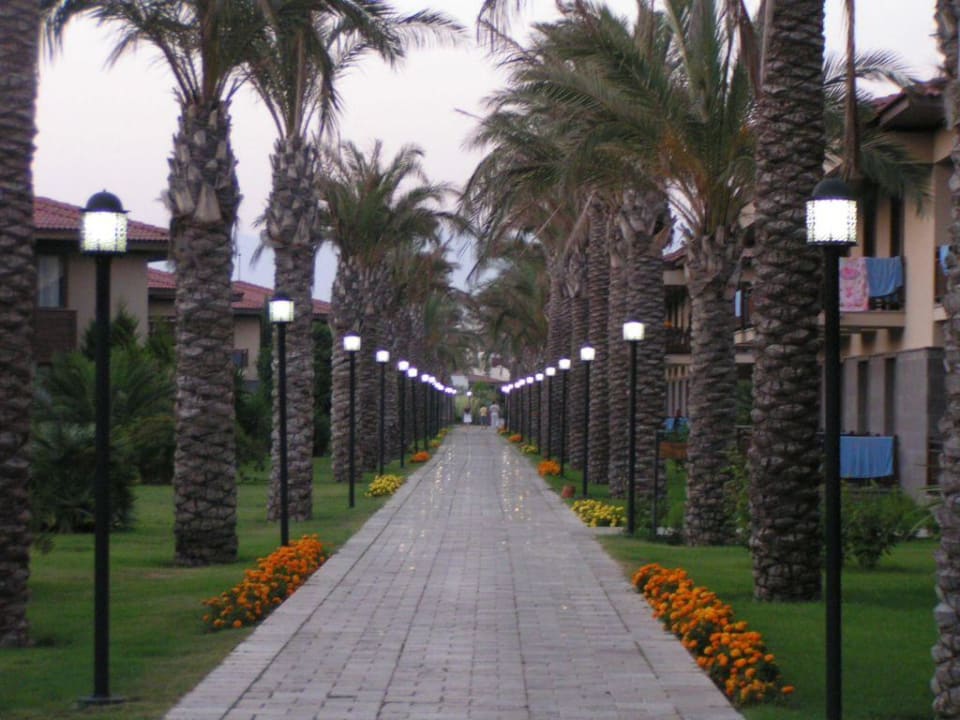 Hotelanlage TUI BLUE Palm Garden