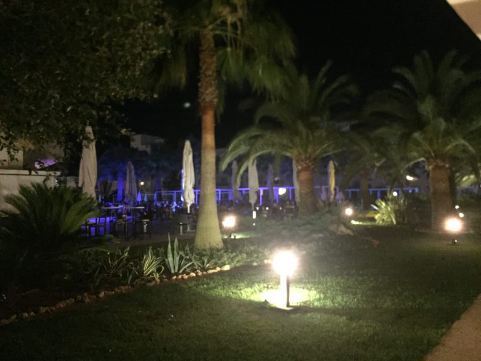 Gartenanlage allsun App.-Hotel Orient Beach