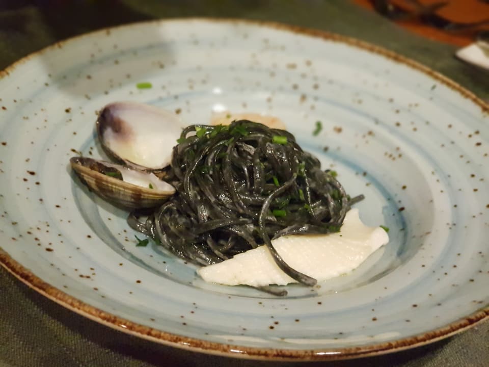 Gastro Lara Barut Collection
