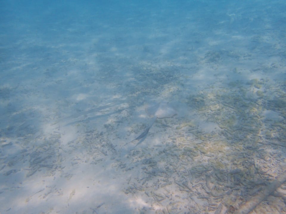 Sport & Freizeit Embudu Village