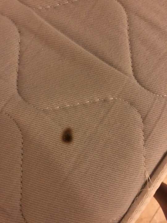 Brandloch Sol Hicacos Varadero