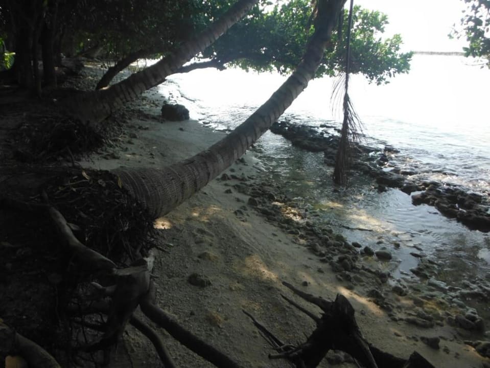 Strand Aussenriff unterhalb Wasserbungalow Kuramathi Maldives