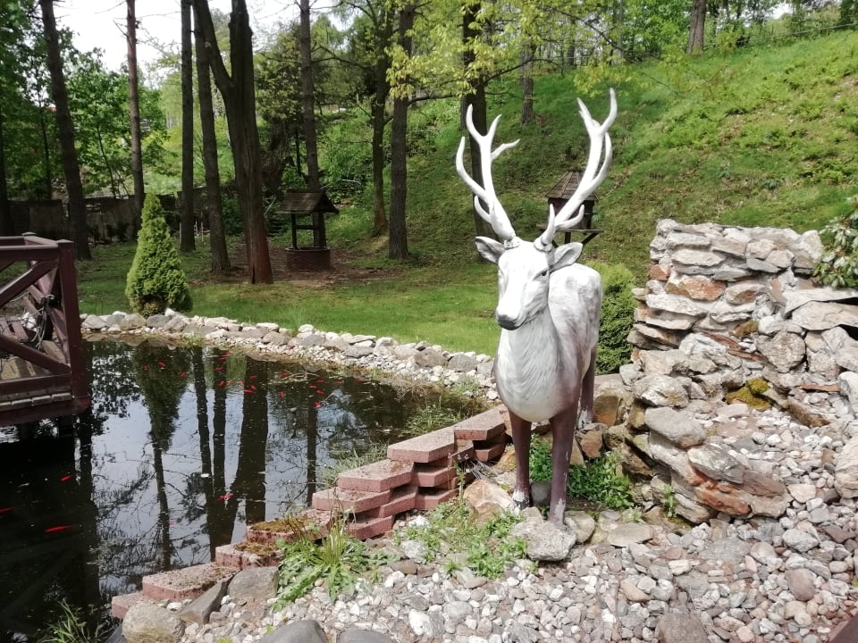 Gartenanlage Hotel Pod Jeleniem