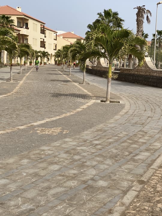 Gartenanlage Hotel Morabeza