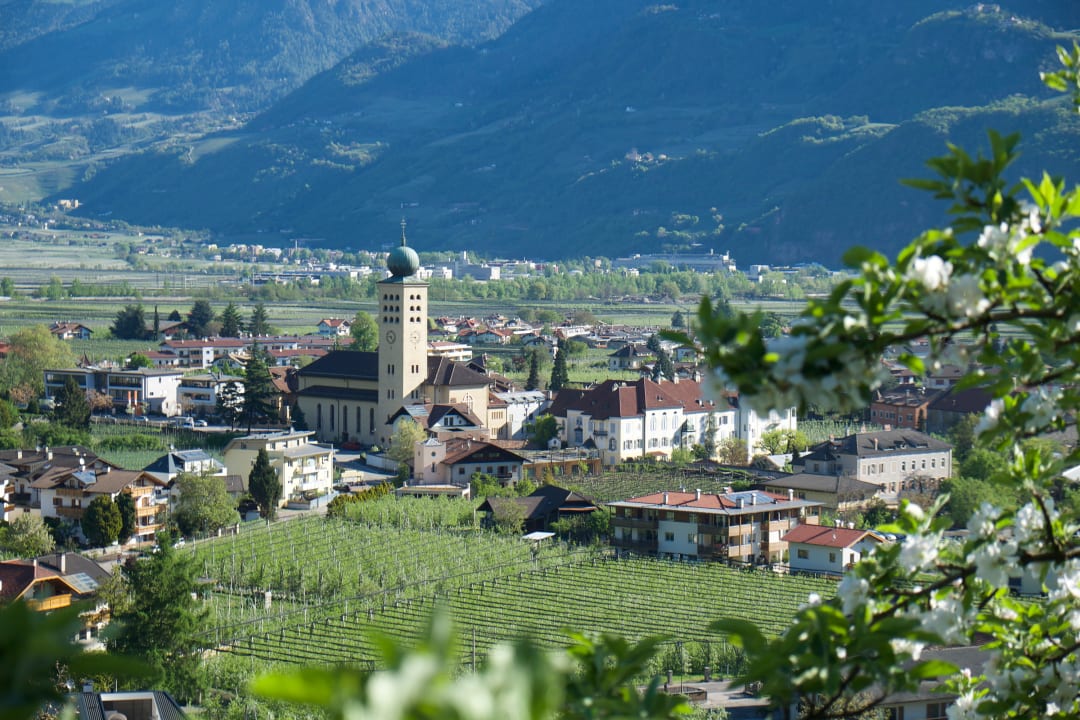 Ausblick Panorama Hotel Garni Bühlerhof