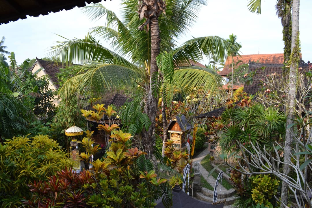 Ausblick aus dem 1. Stock der DH-Hälfte Guci Guesthouses