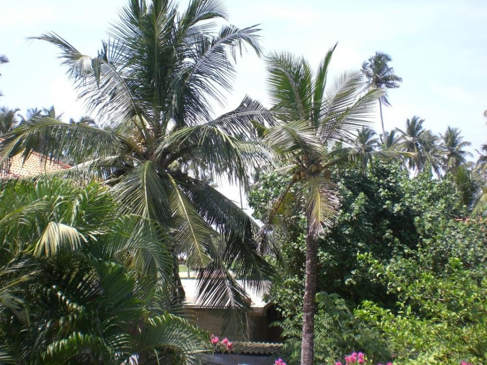 Meerblick Wunderbar Beach Club Hotel