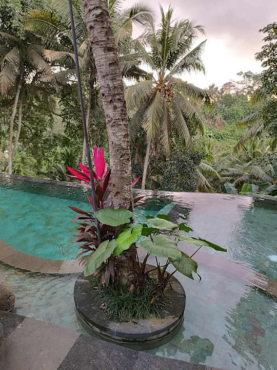 Pool Bucu View Resort