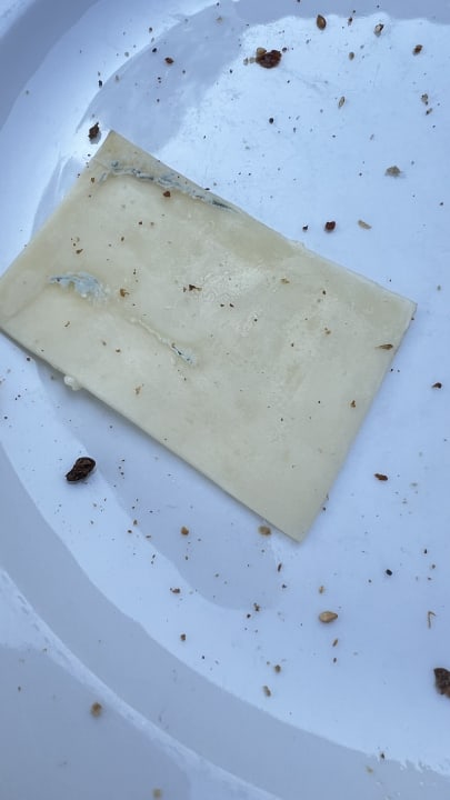 Gastro Feriendorf Zum Störrischen Esel