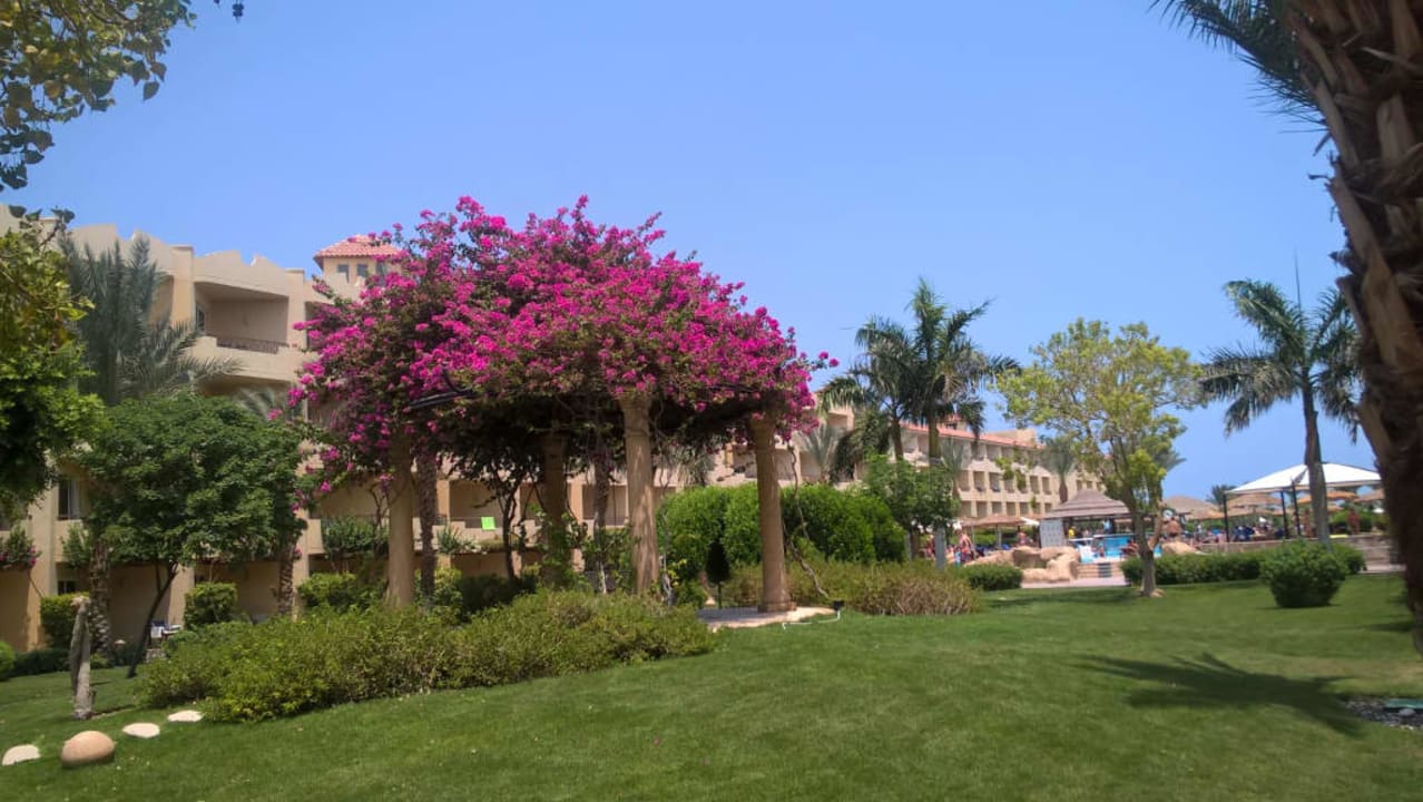 Ogród  Amwaj Beach Club Abu Soma Resort