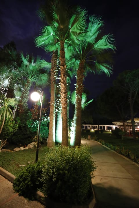 Palmiyeler Labranda Alantur Resort