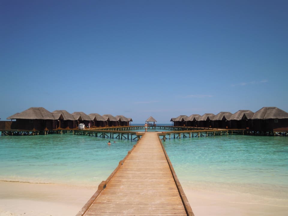 Bungalows Fihalhohi Maldives