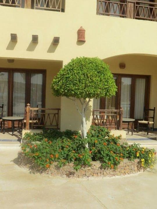 Территория отеля Sunny Days Palma De Mirette Resort & Spa