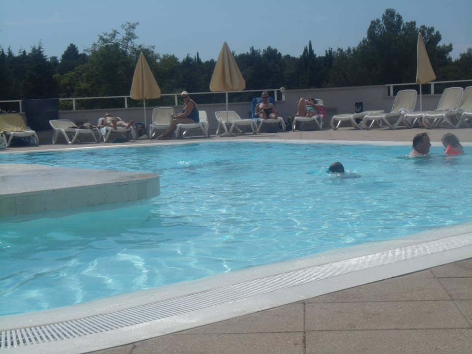 Pool Hotel Albatros Plava Laguna