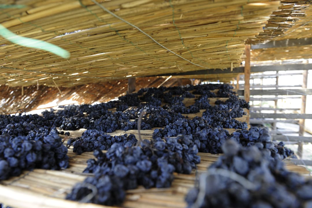 Schilfwein Weingut & Landhaus Willi Opitz