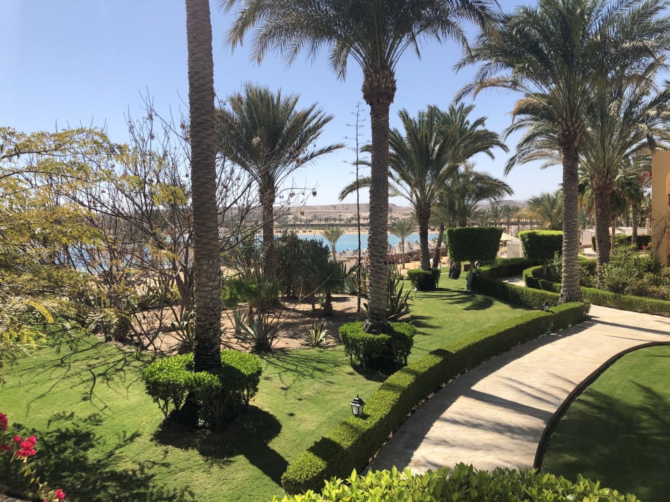 Gartenanlage Steigenberger Coraya Beach - Adults only