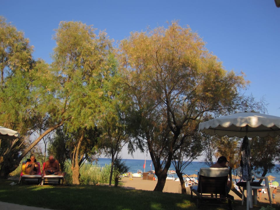 Blick zum Strand/Meer Hotel Calypso Beach