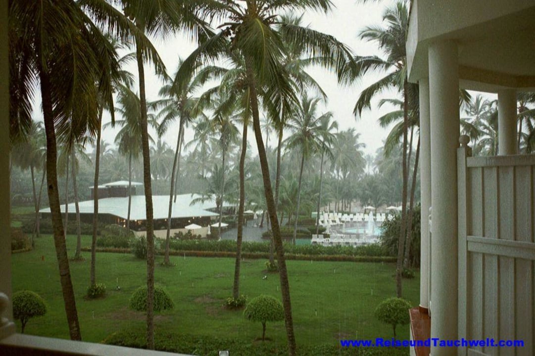 Regenschauer Hotel Riu Palace Macao - Adults only