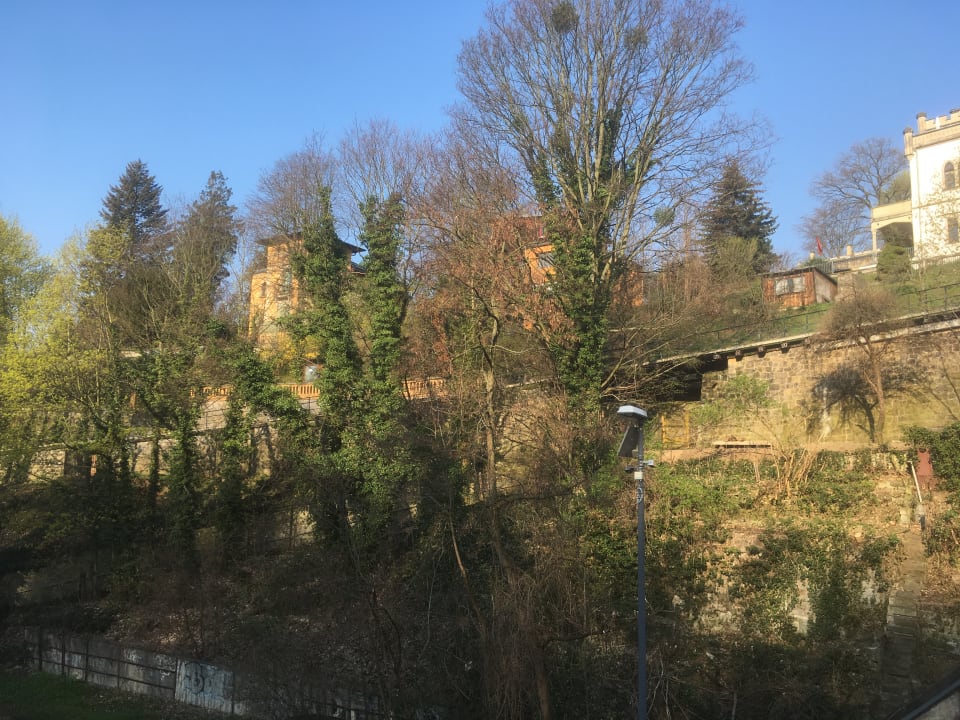 Ausblick Gästehaus Loschwitz