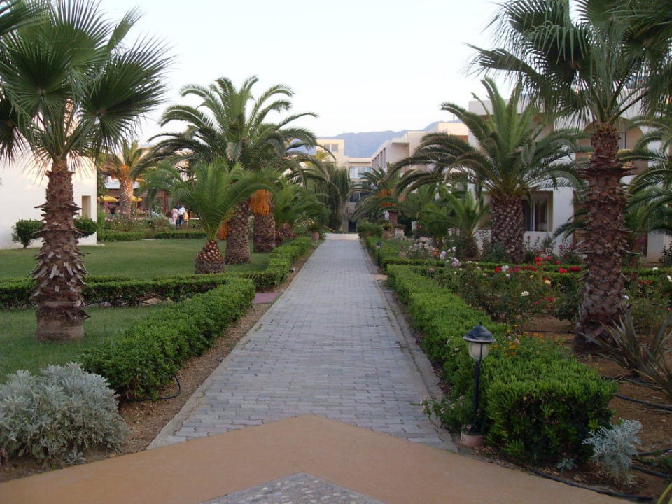 Vom Strand zum Hotel Delfina Tropic Beach