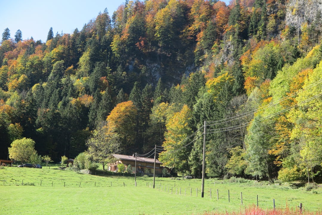 Außenansicht Haus Waldwinkel Ferienwohnungen