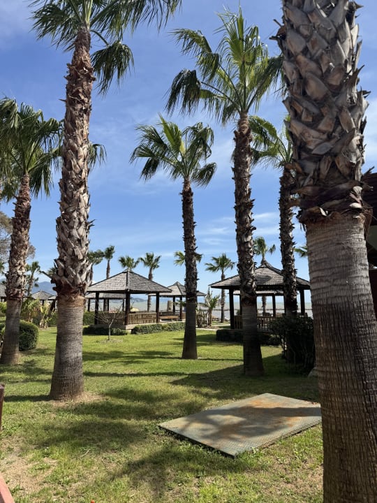 Gartenanlage Eftalia Ocean Resort & Spa