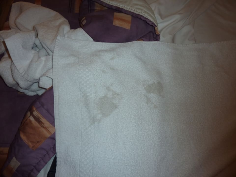 Sonstiges Hotel The Windsor