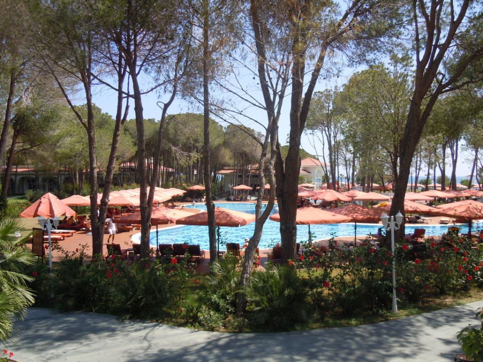 Blick auf den Pool Ali Bey Resort Sorgun