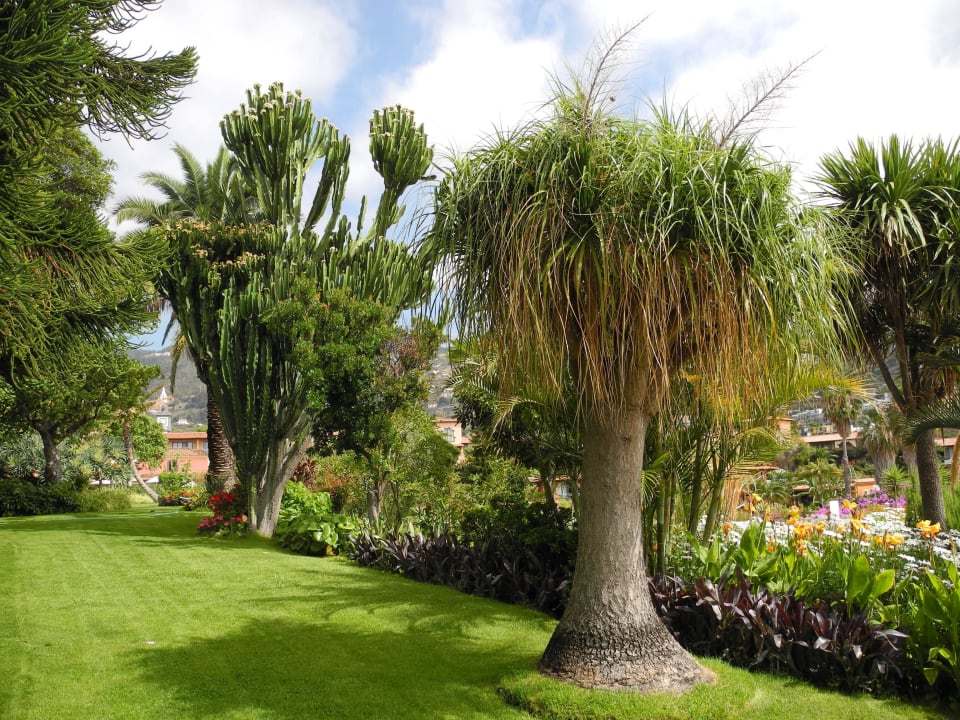 Gartenanlage Hotel Quinta Splendida Wellness & Botanical Garden