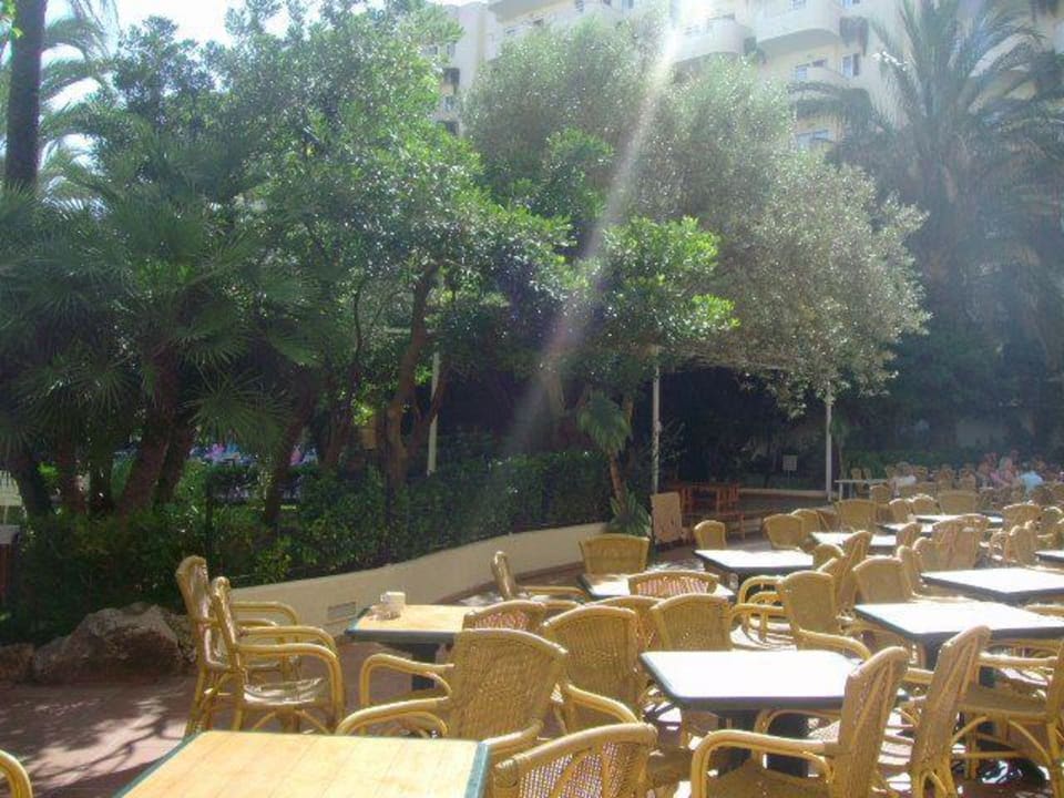 Sitzterrasse und Bühne Protur Palmeras Playa Aparthotel