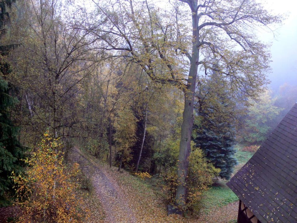 Blick aus dem Fenster im Herbst Pension Sonnenblick