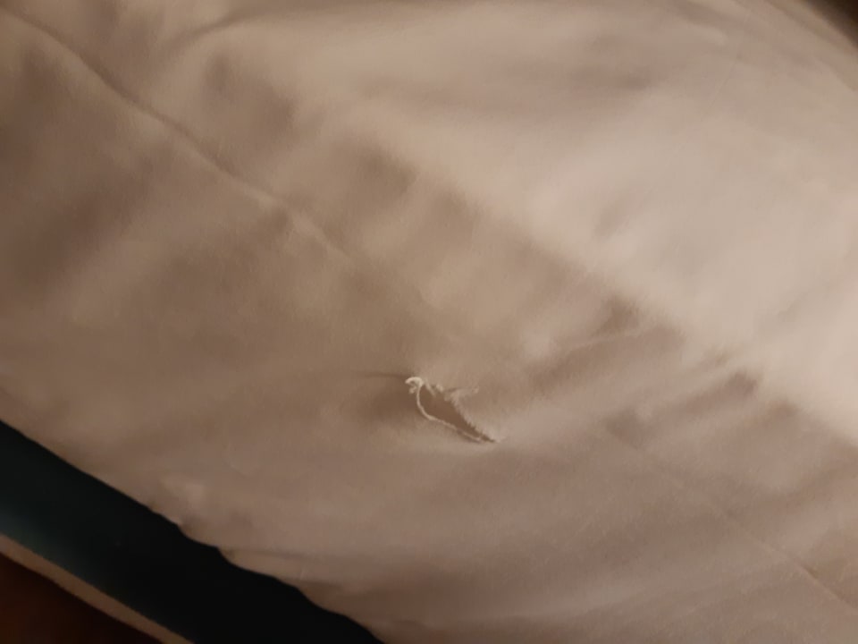 Zimmer Sherwood Exclusive Lara