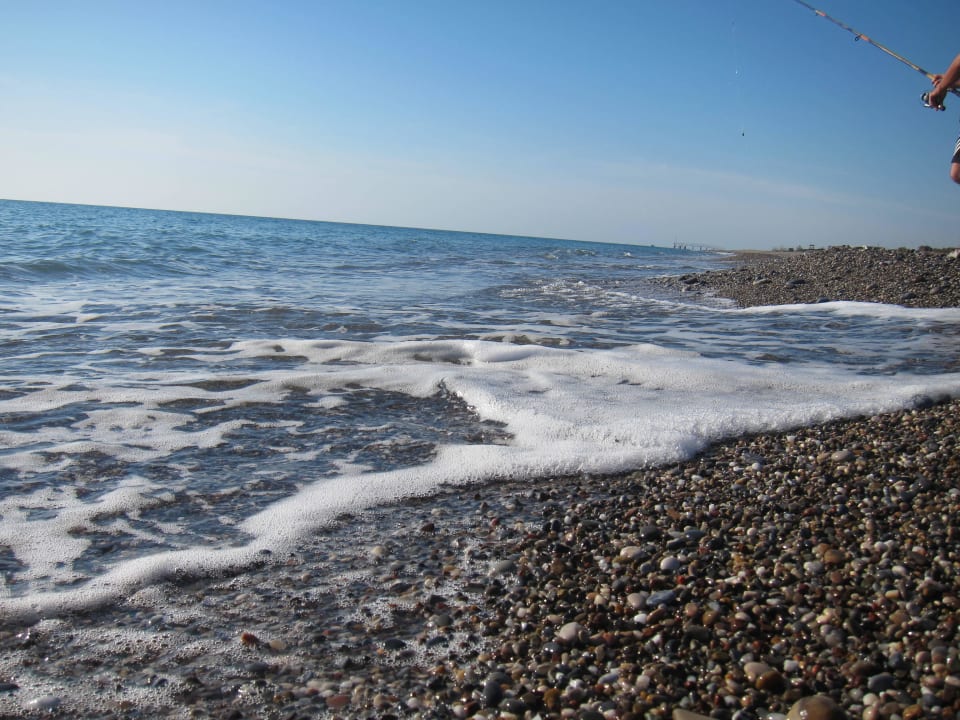 Strand Concordia Celes