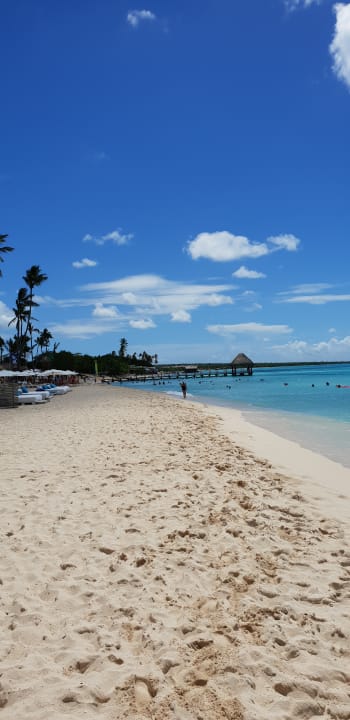 Strand Catalonia Royal La Romana - Adults only