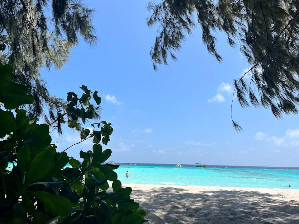 Strand Summer Island Maldives