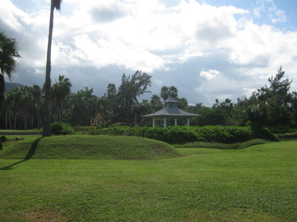 Schön grün Half Moon