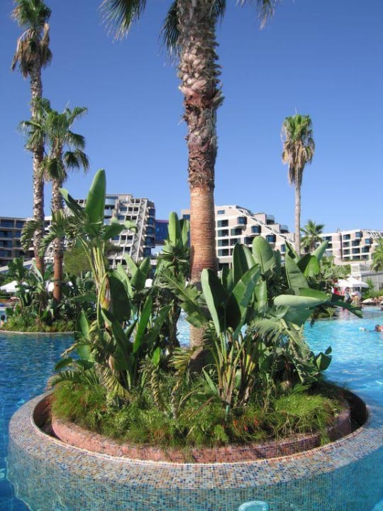 Palmeninsel Susesi Luxury Resort