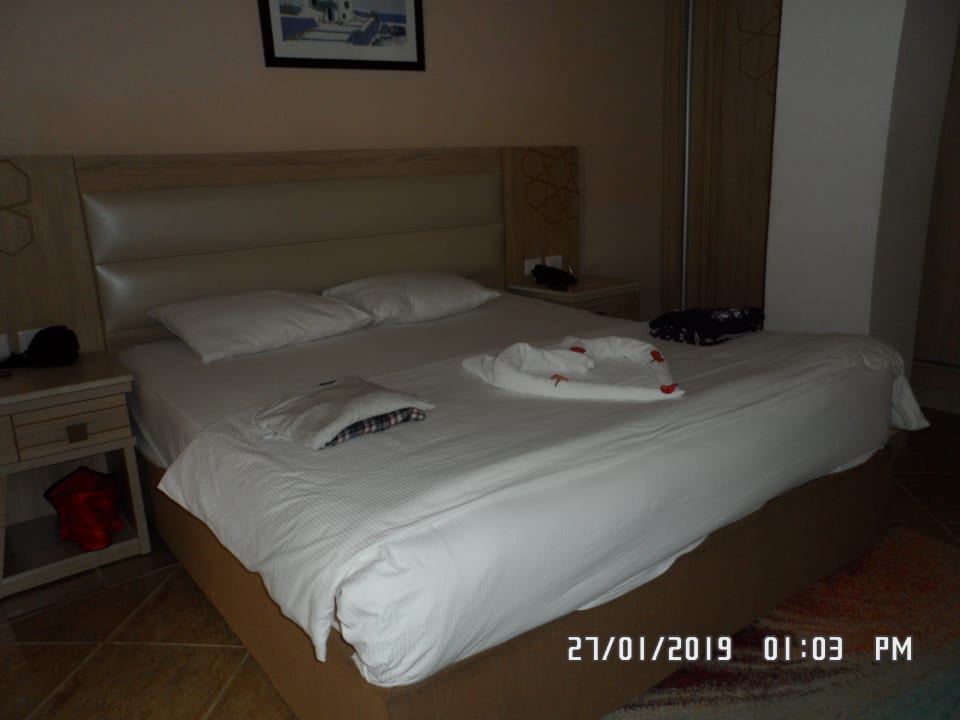 Zimmer Beach Albatros Resort