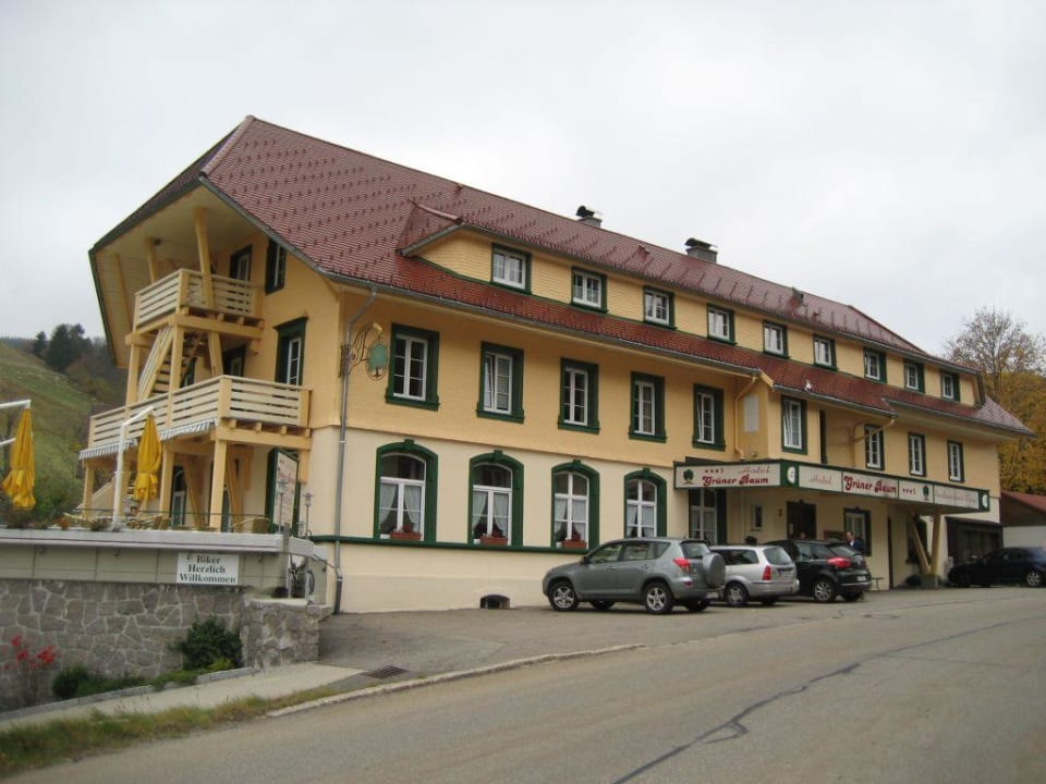 Blick aus das Hotel Naturparkhotel Grüner Baum