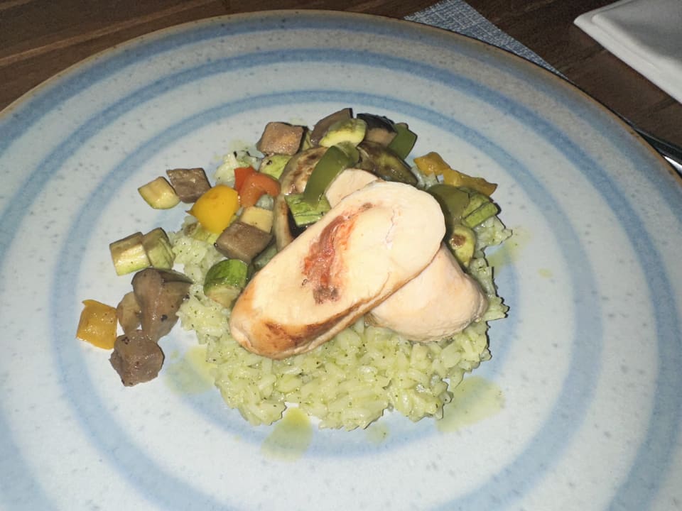 Gastro JAZ Elite Amara