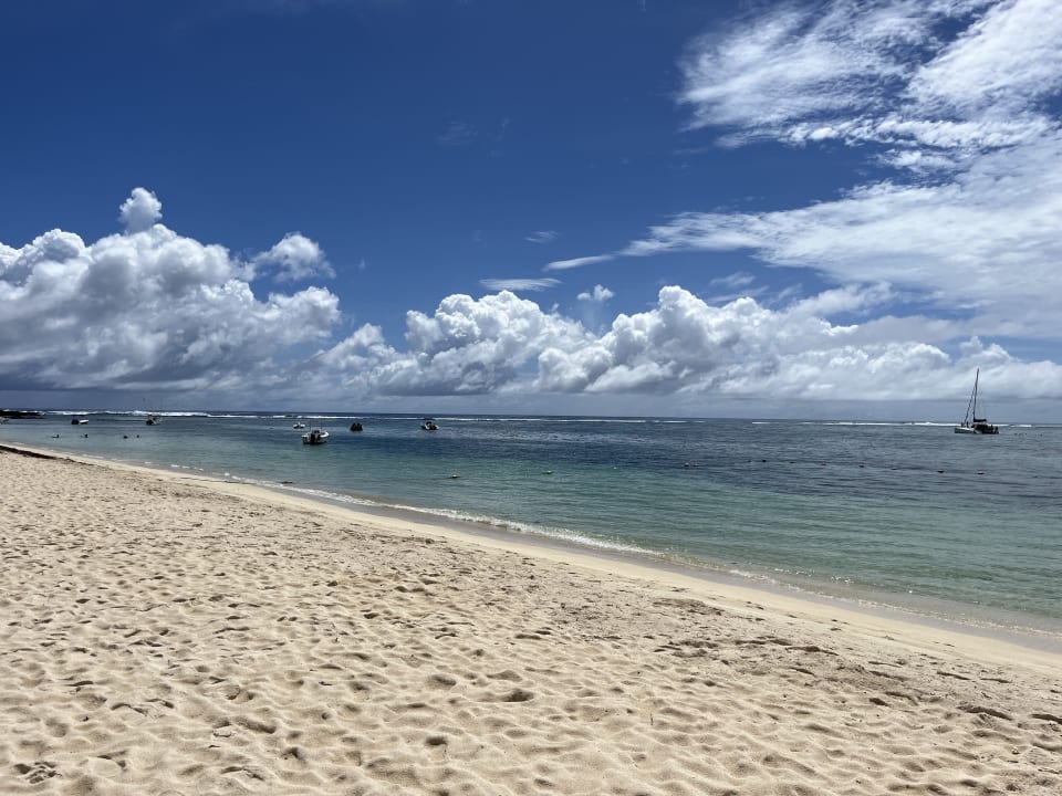 Strand Friday Attitude