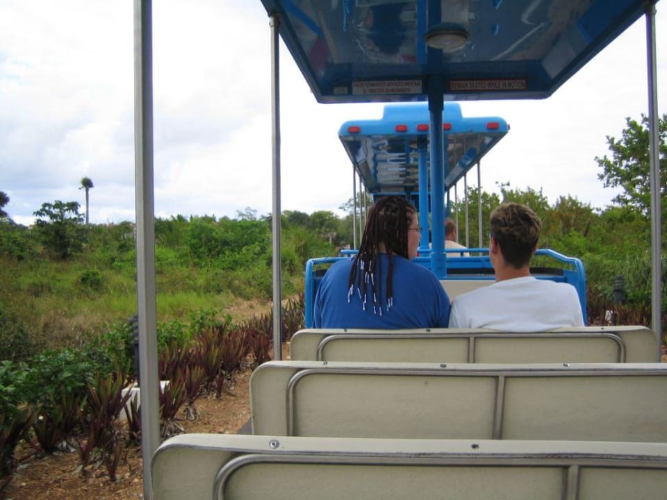 Bimmelbahn Royalton Splash Punta Cana