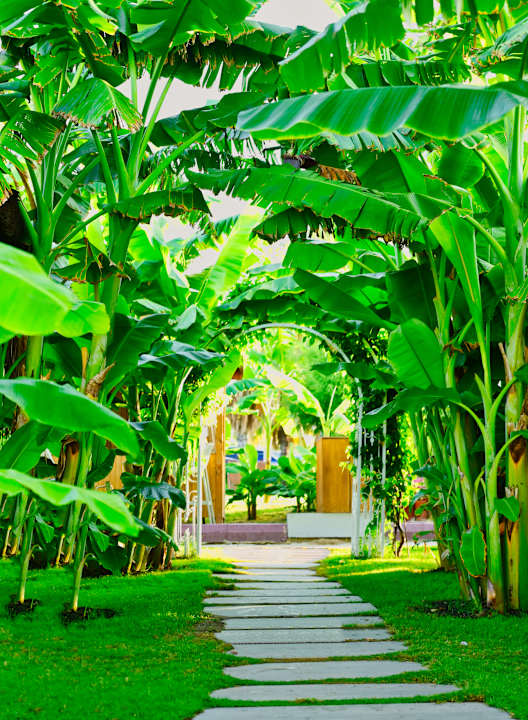 Strand VONRESORT Golden Beach