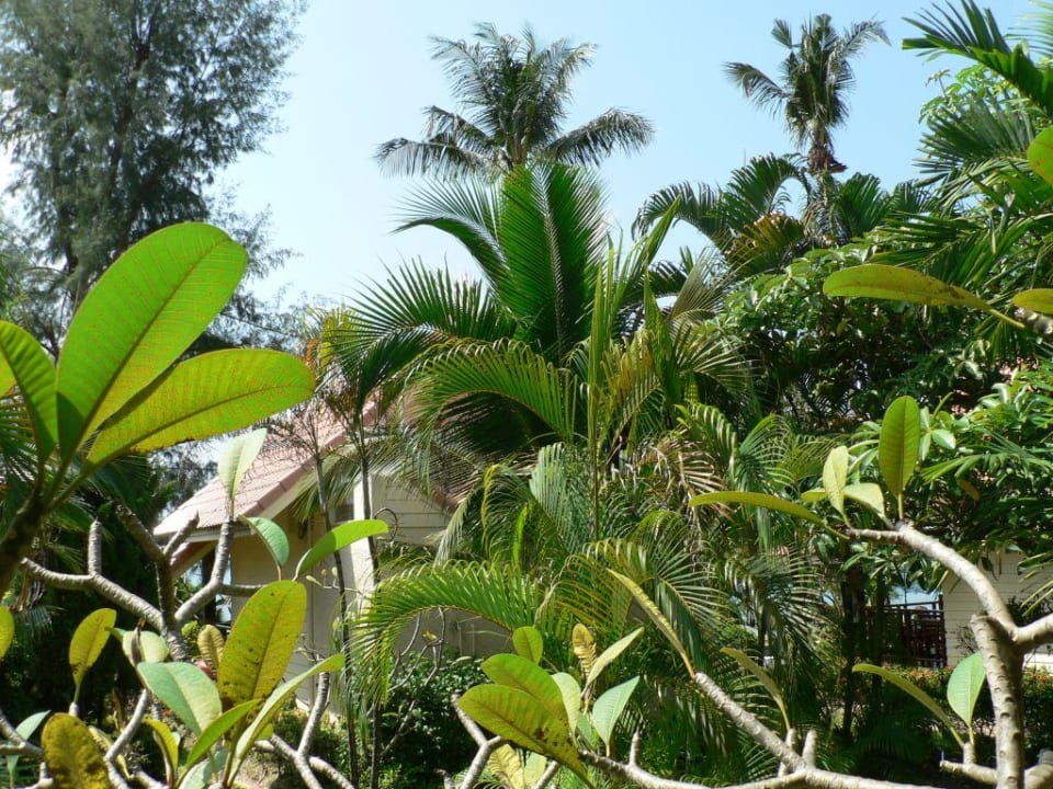 Blick richtung Meer Koh Chang Paradise Resort & Spa