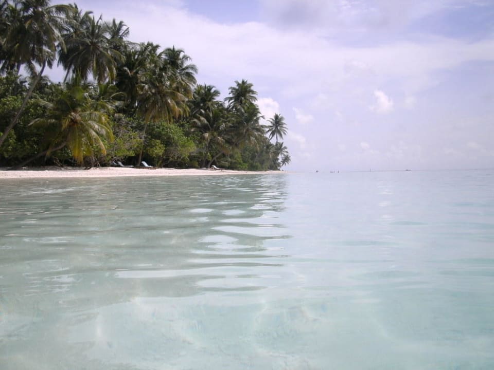 Die Insel vom Wasser aus gesehen Filitheyo Island Resort