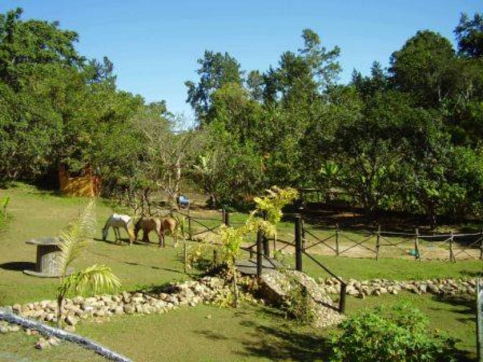 El Parque Posada Vista Montaña