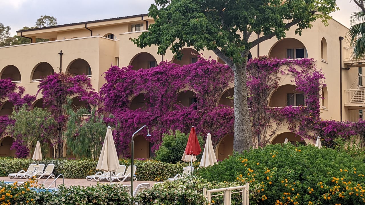 Gartenanlage TUI MAGIC LIFE Calabria