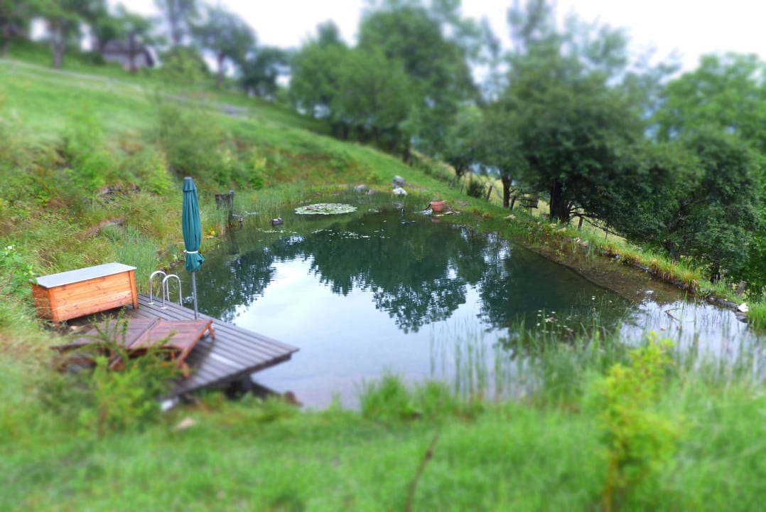 Schwimmteich LUXGUT - OLIVIA
