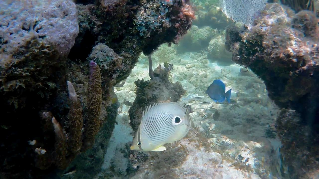 Sport & Freizeit Akumal Bay Beach & Wellness Resort