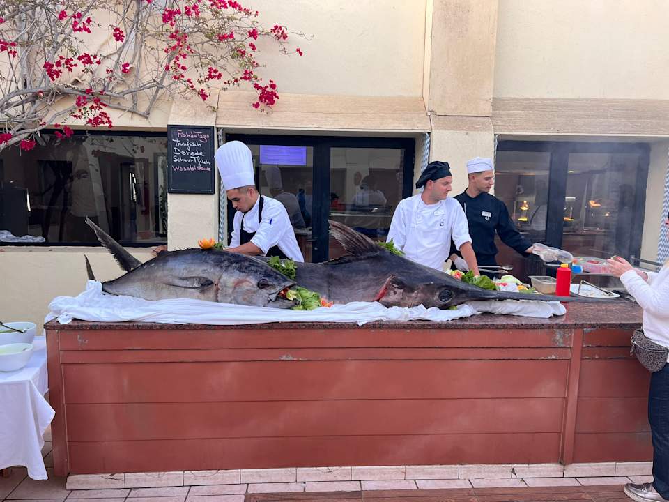 Gastro Aldiana Club Djerba Atlantide